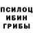 Псилоцибиновые грибы Cubensis omer makolli