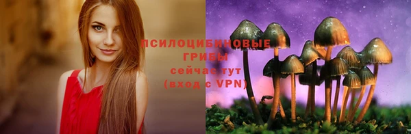 дмт Остров