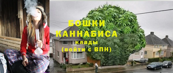 прущие крисы Осинники