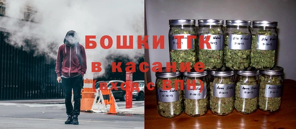прущие крисы Осинники