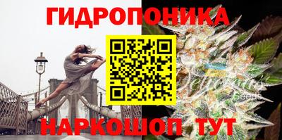 прущий лед Гусь-Хрустальный