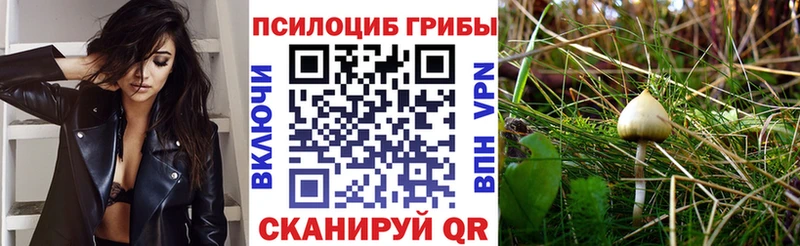 где продают наркотики  Печора  Галлюциногенные грибы GOLDEN TEACHER 
