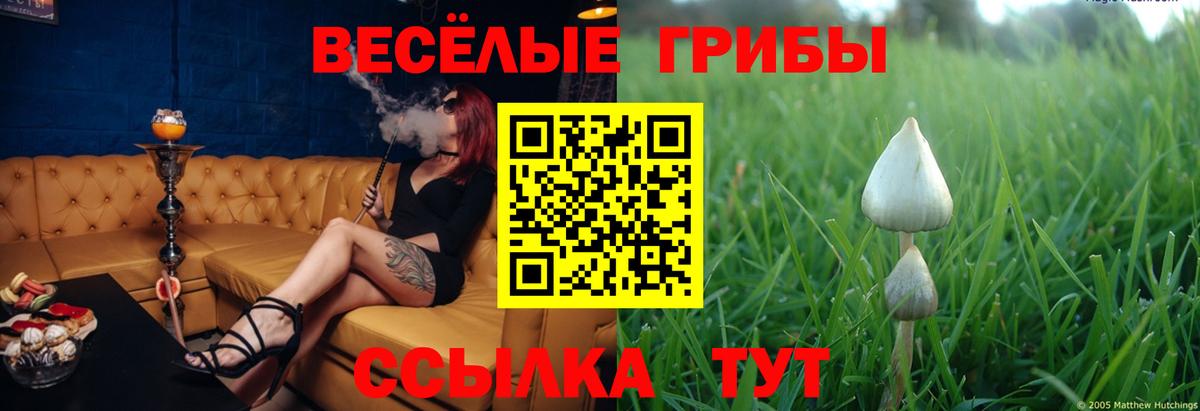 Галлюциногенные грибы ЛСД Печора